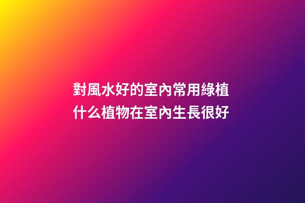 對風水好的室內常用綠植 什么植物在室內生長很好